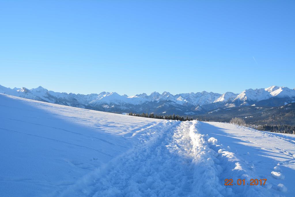 RzepiskaZiaciowka公寓 外观 照片